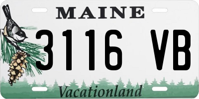 ME license plate 3116VB