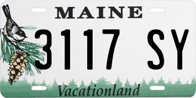 ME license plate 3117SY
