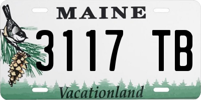 ME license plate 3117TB