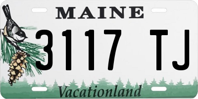 ME license plate 3117TJ