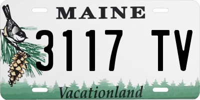 ME license plate 3117TV