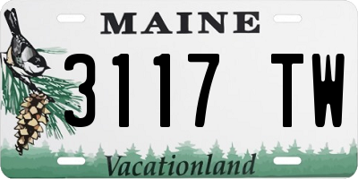 ME license plate 3117TW