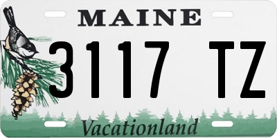 ME license plate 3117TZ