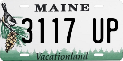 ME license plate 3117UP