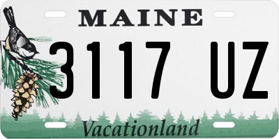 ME license plate 3117UZ