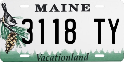 ME license plate 3118TY