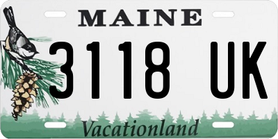 ME license plate 3118UK