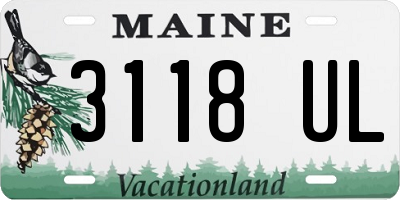 ME license plate 3118UL