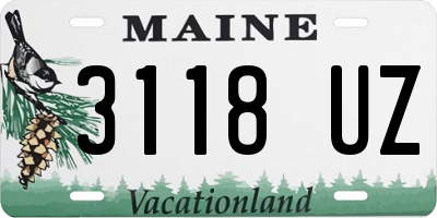 ME license plate 3118UZ