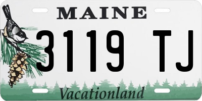 ME license plate 3119TJ