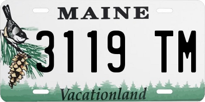 ME license plate 3119TM