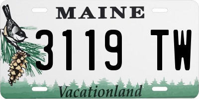 ME license plate 3119TW