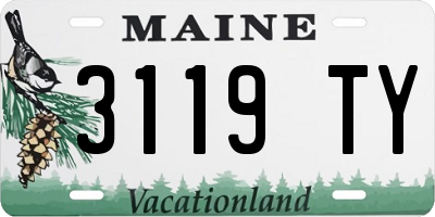 ME license plate 3119TY
