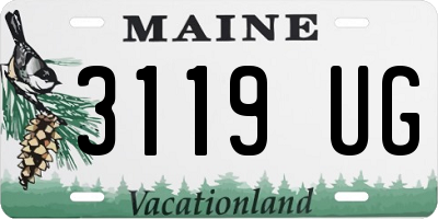 ME license plate 3119UG
