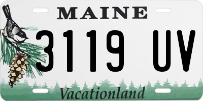 ME license plate 3119UV