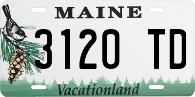 ME license plate 3120TD