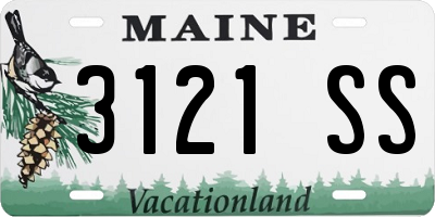 ME license plate 3121SS