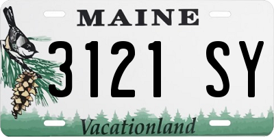 ME license plate 3121SY