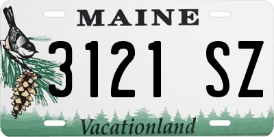 ME license plate 3121SZ