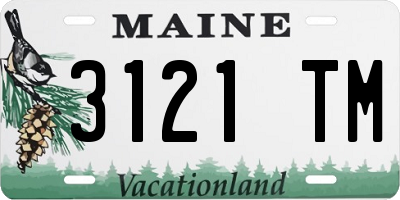 ME license plate 3121TM