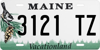 ME license plate 3121TZ