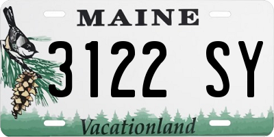ME license plate 3122SY