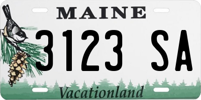 ME license plate 3123SA