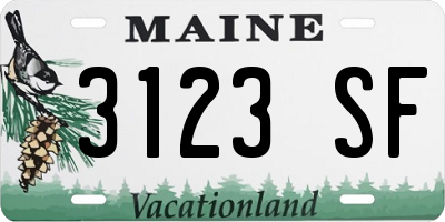 ME license plate 3123SF