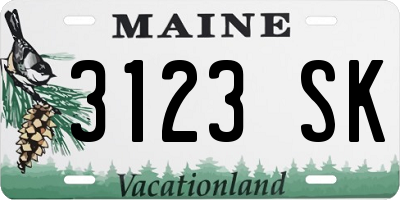 ME license plate 3123SK