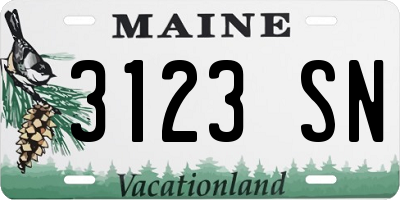 ME license plate 3123SN