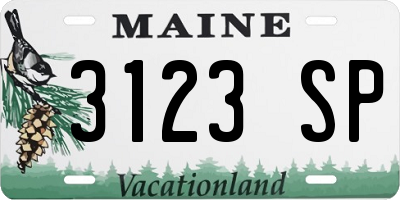 ME license plate 3123SP