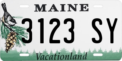 ME license plate 3123SY