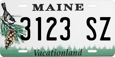 ME license plate 3123SZ