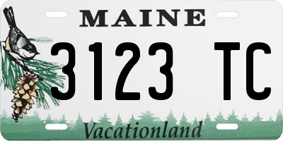 ME license plate 3123TC