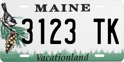 ME license plate 3123TK