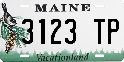 ME license plate 3123TP