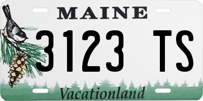 ME license plate 3123TS
