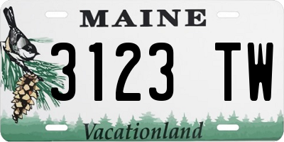 ME license plate 3123TW