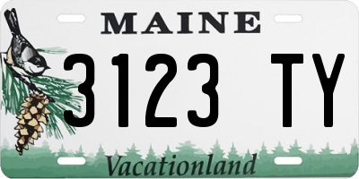 ME license plate 3123TY