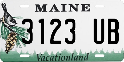 ME license plate 3123UB