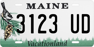 ME license plate 3123UD