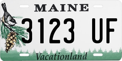 ME license plate 3123UF