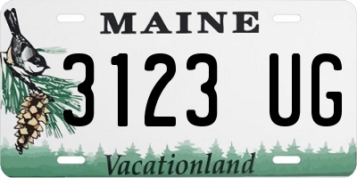 ME license plate 3123UG