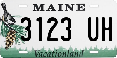 ME license plate 3123UH