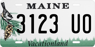 ME license plate 3123UO