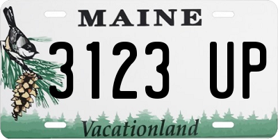 ME license plate 3123UP