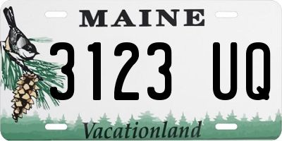 ME license plate 3123UQ