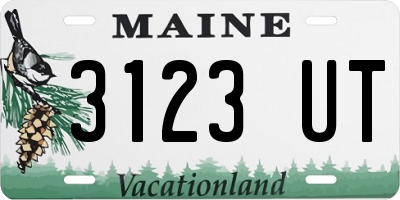 ME license plate 3123UT