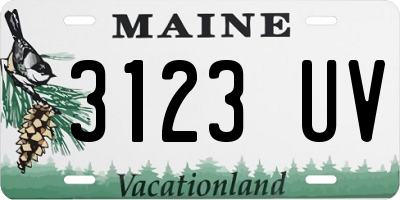 ME license plate 3123UV