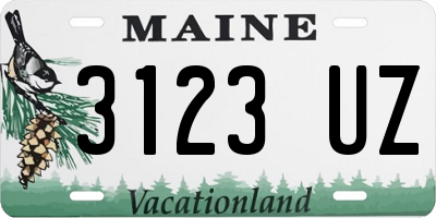 ME license plate 3123UZ